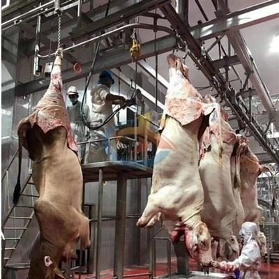 Stroj za zakol in odiranje goveda, avtomatski stroj za odiranje